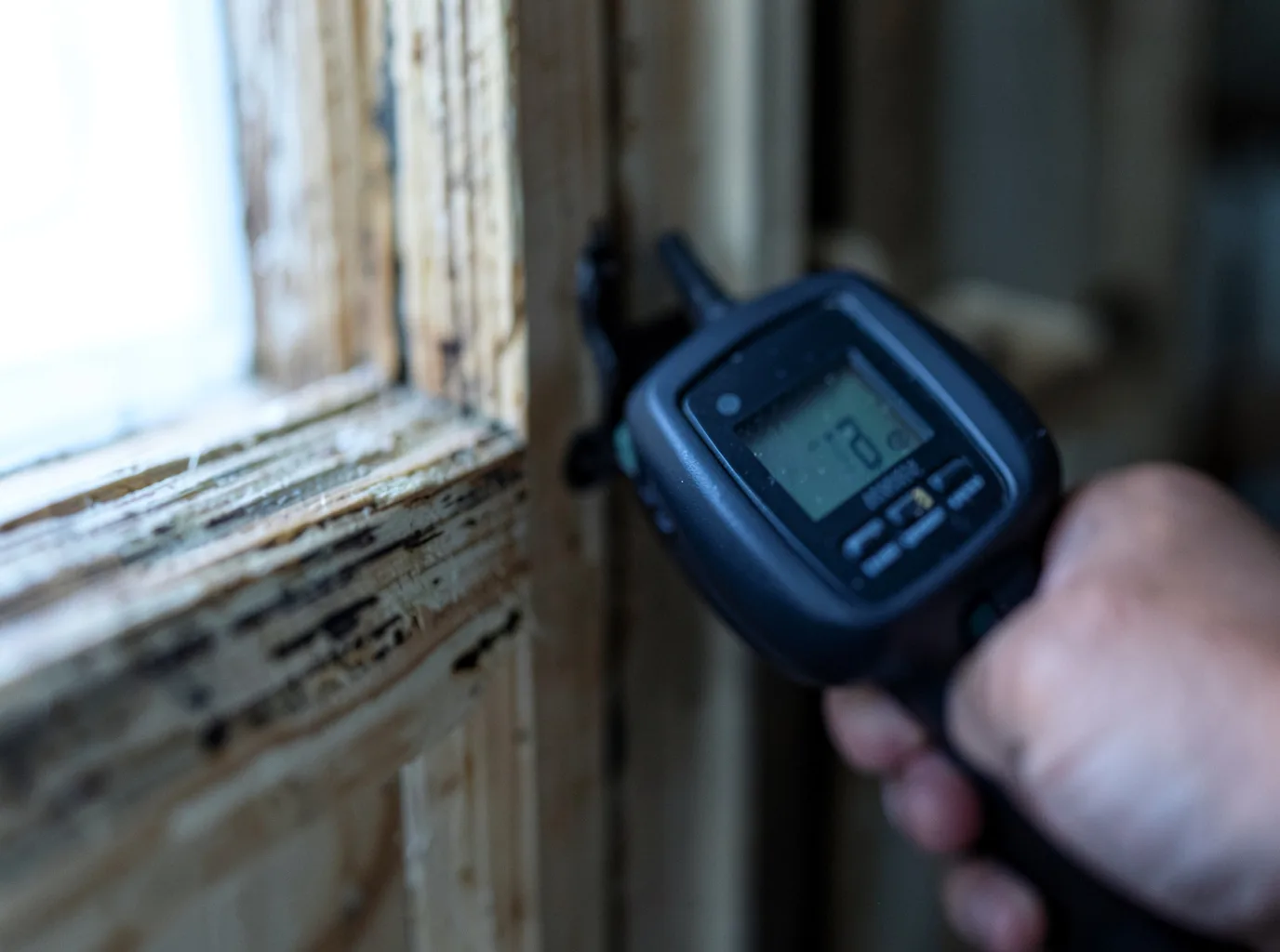 Moisture Inspection And Documentation in Tully, NY